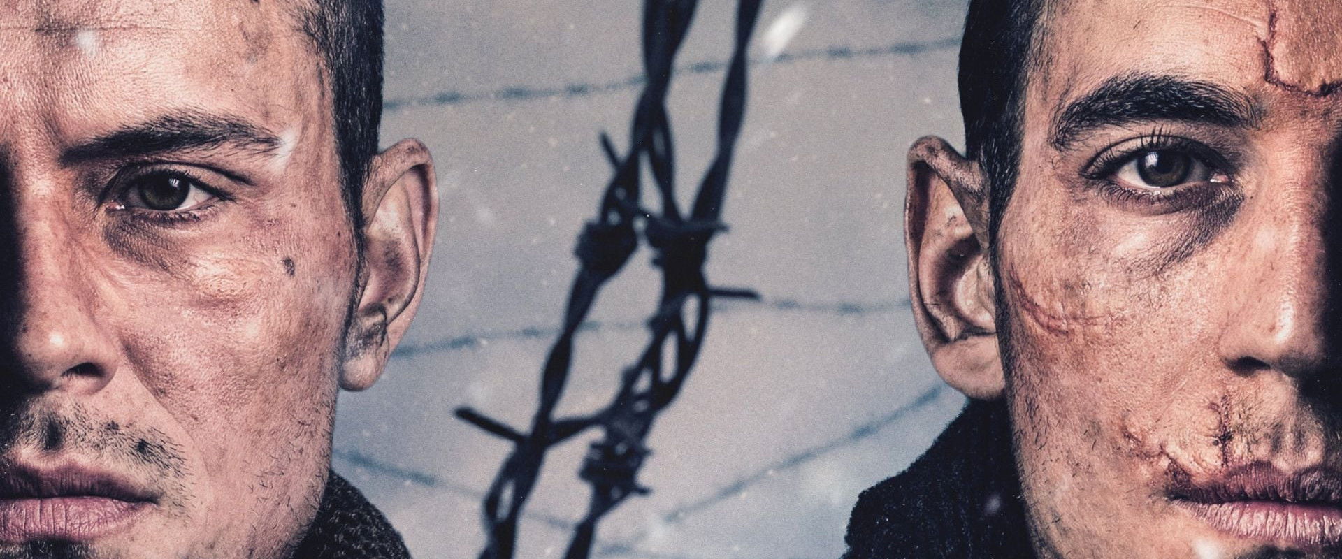 The Truce's banner image