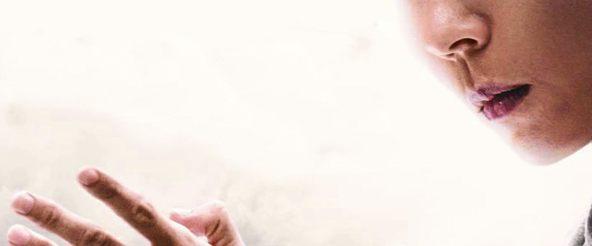 Ip Man: The Awakening