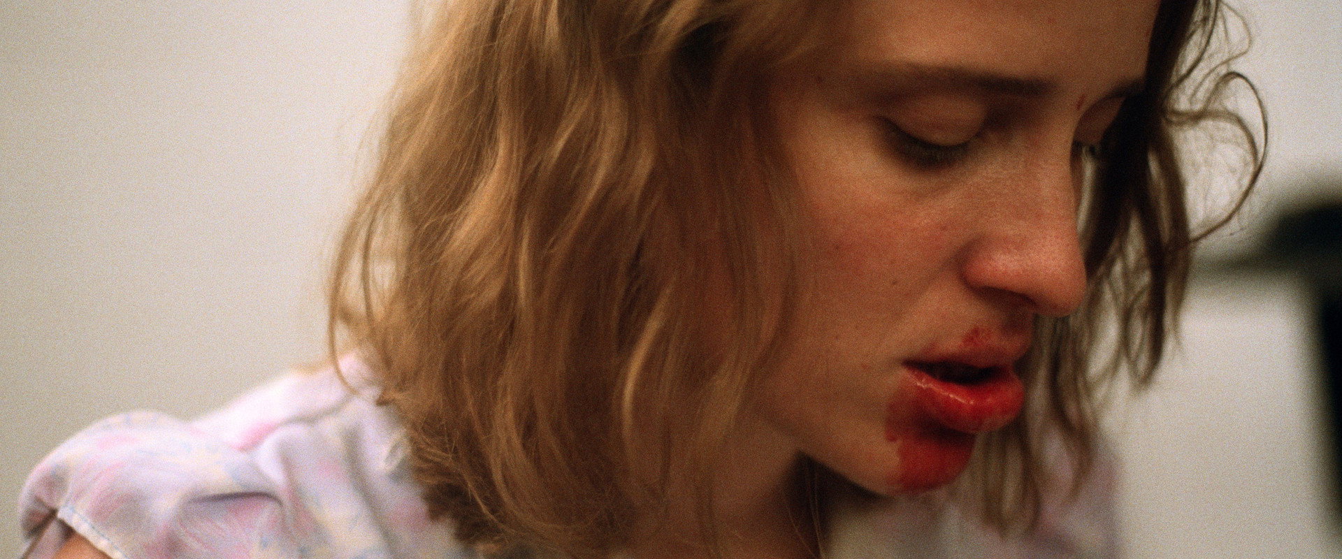 Dogtooth's banner image