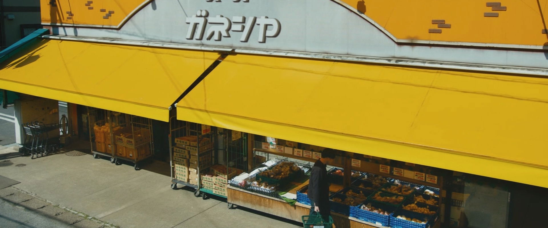 I’m Curious About the Contents of the Supermarket Basket