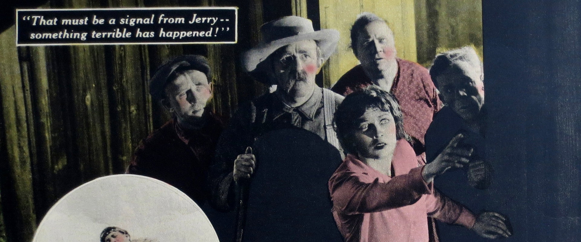 Peacock Feathers's banner image