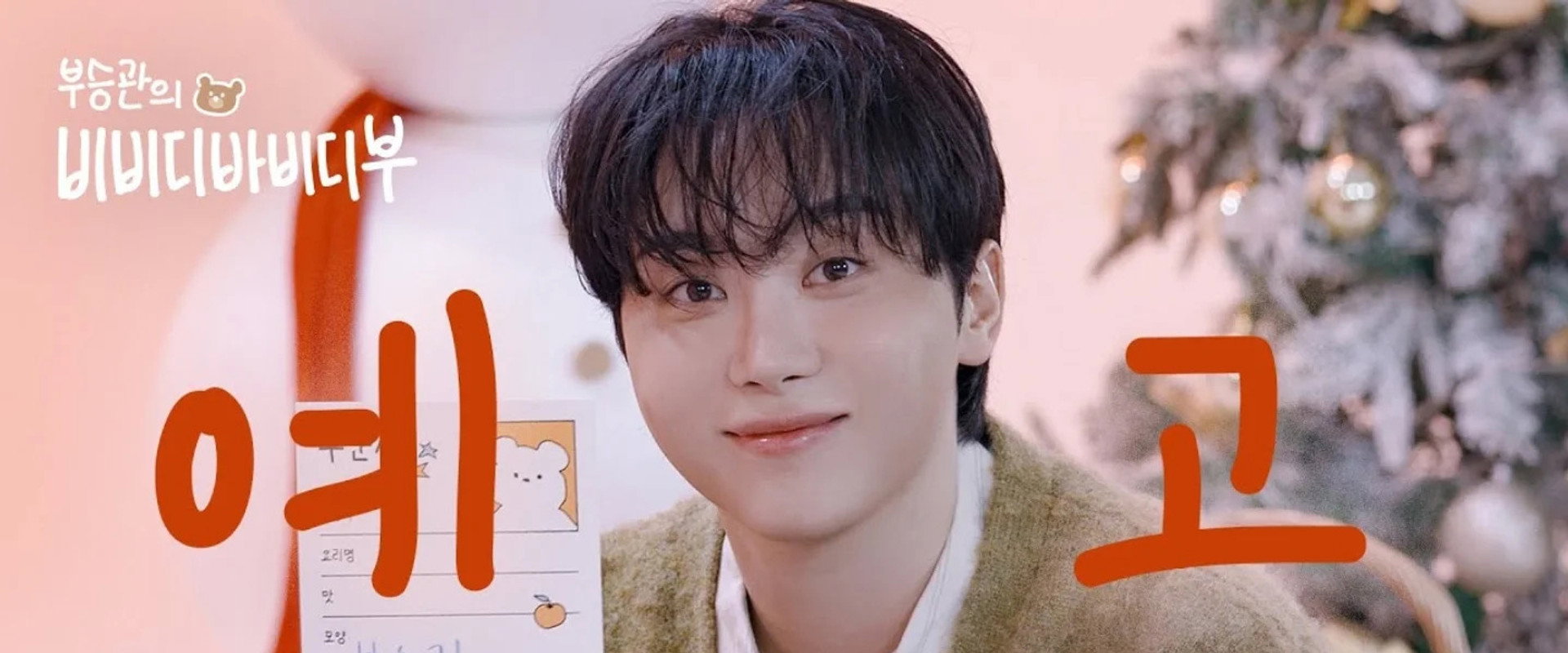 Boo Seungkwan's BibbidiBobbidiBoo's banner image