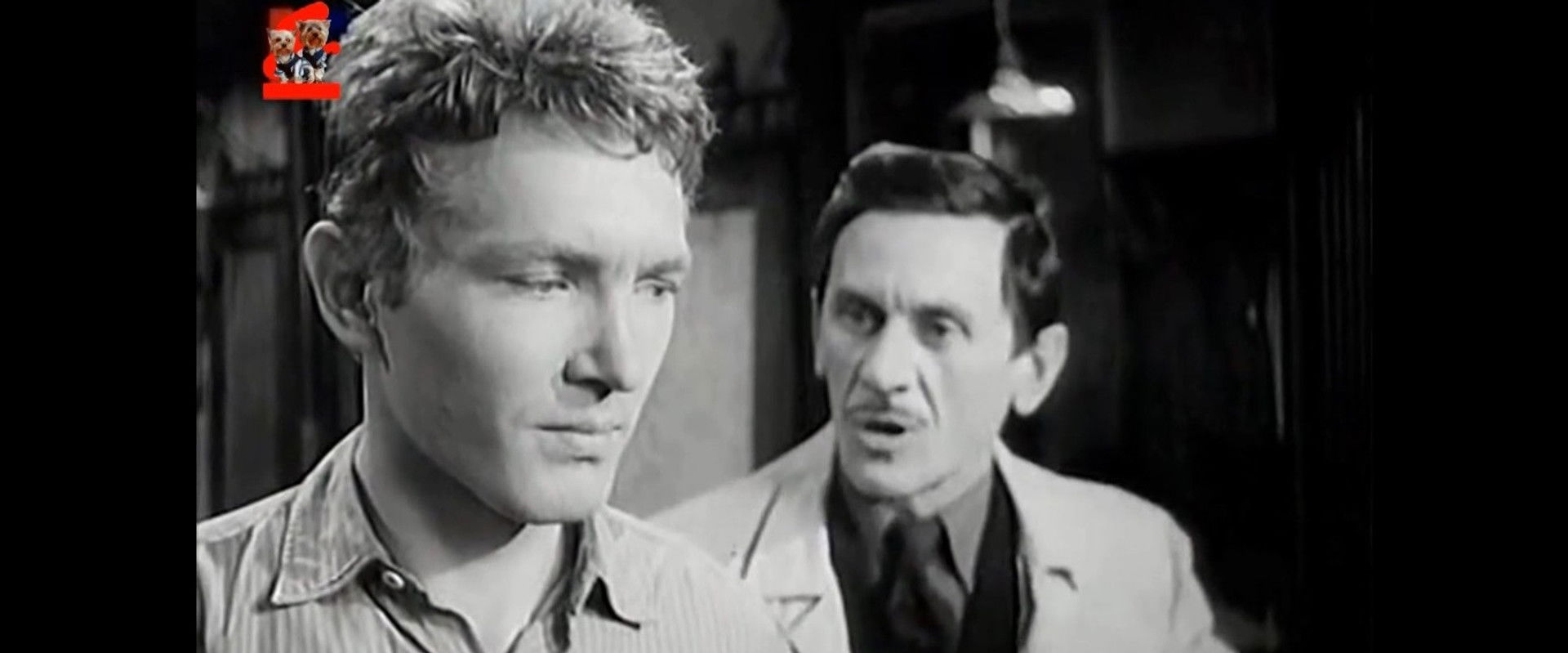 Saint Elizabeth Square's banner image