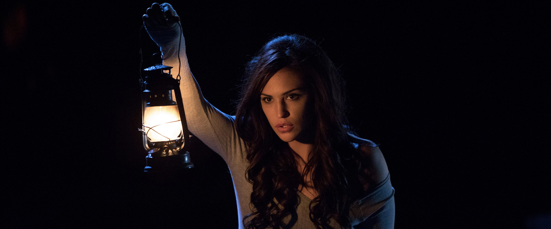 False Witness's banner image