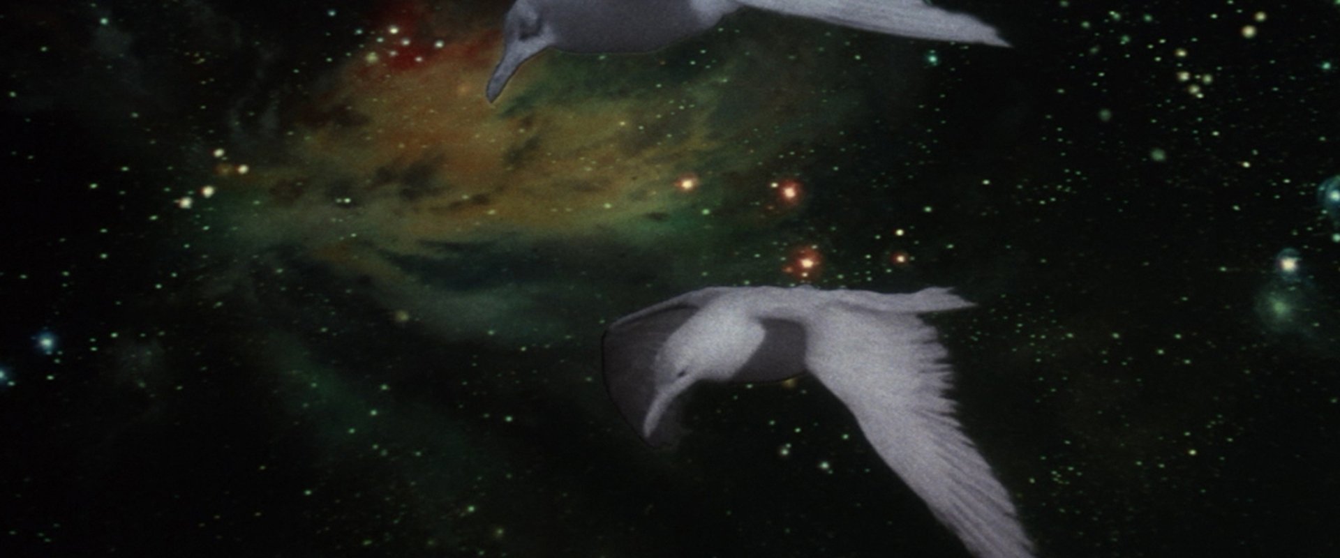 Jonathan Livingston Seagull
