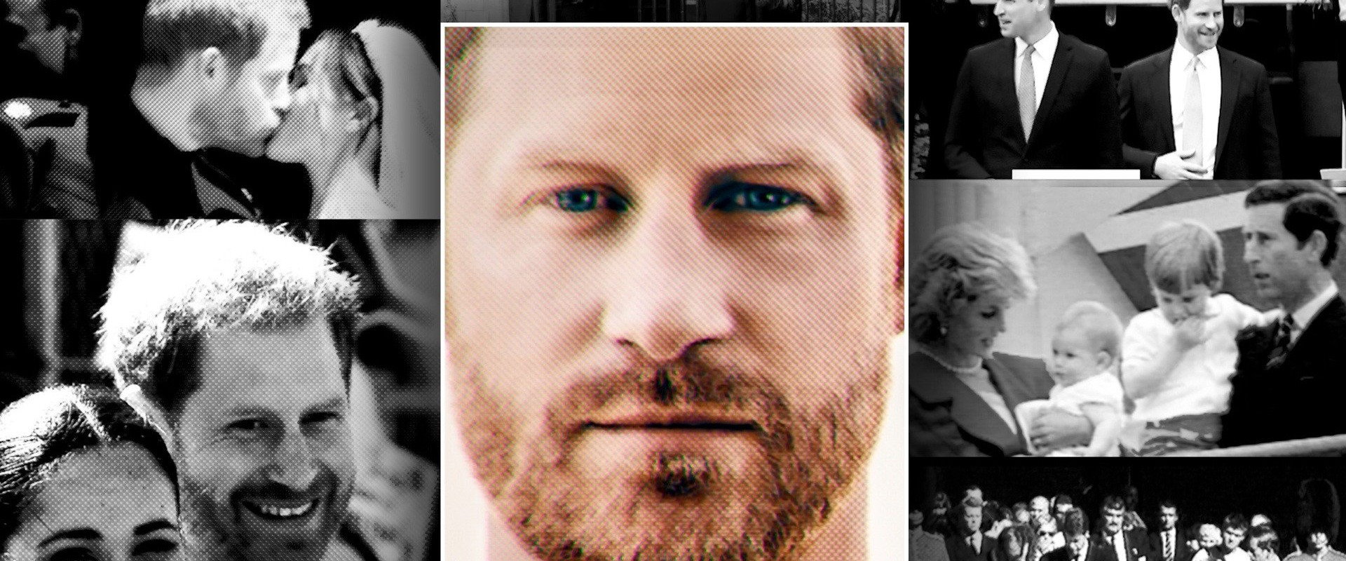 Harry: The Interview's banner image