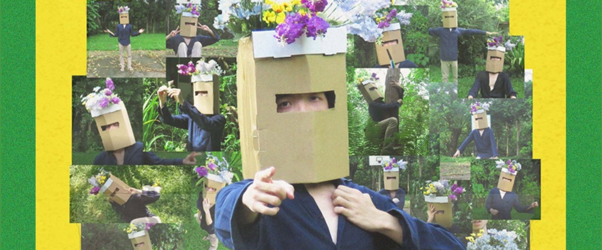 PLANT BOY