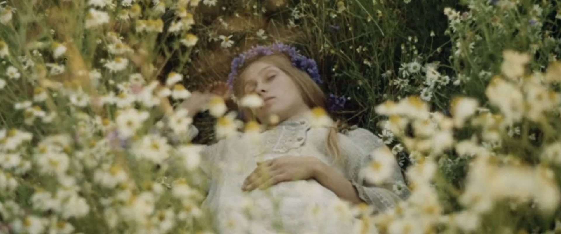 Scattered Nest's banner image