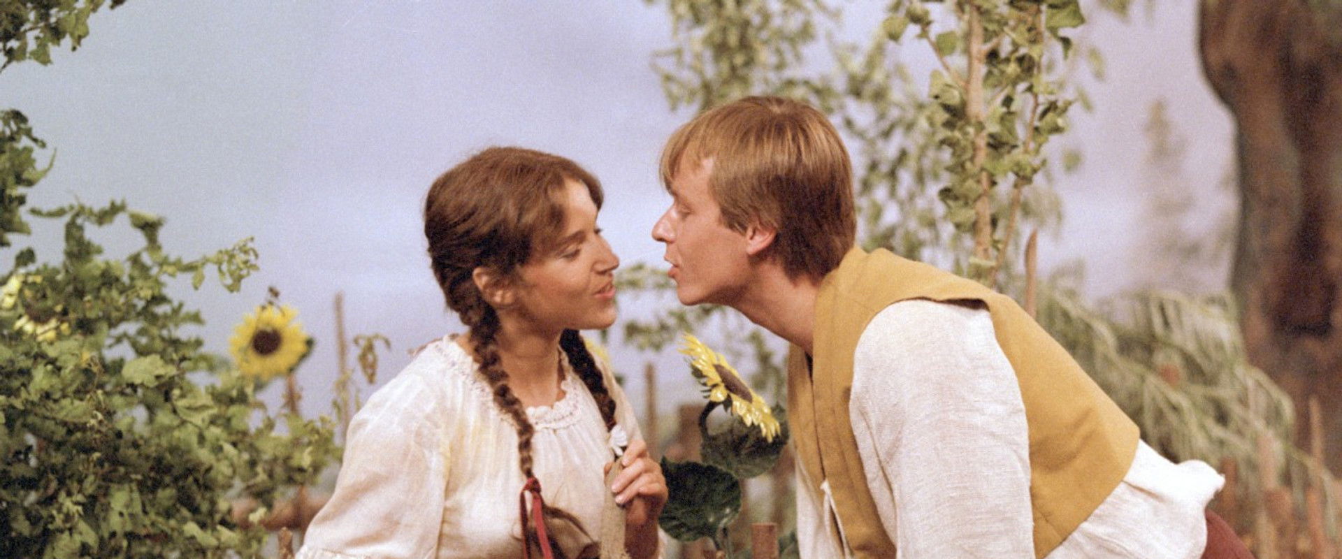 Kmotři z blat's banner image