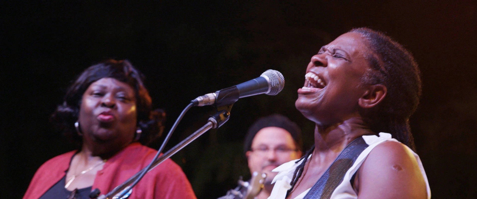 Invisible: Gay Women in Southern Music's banner image