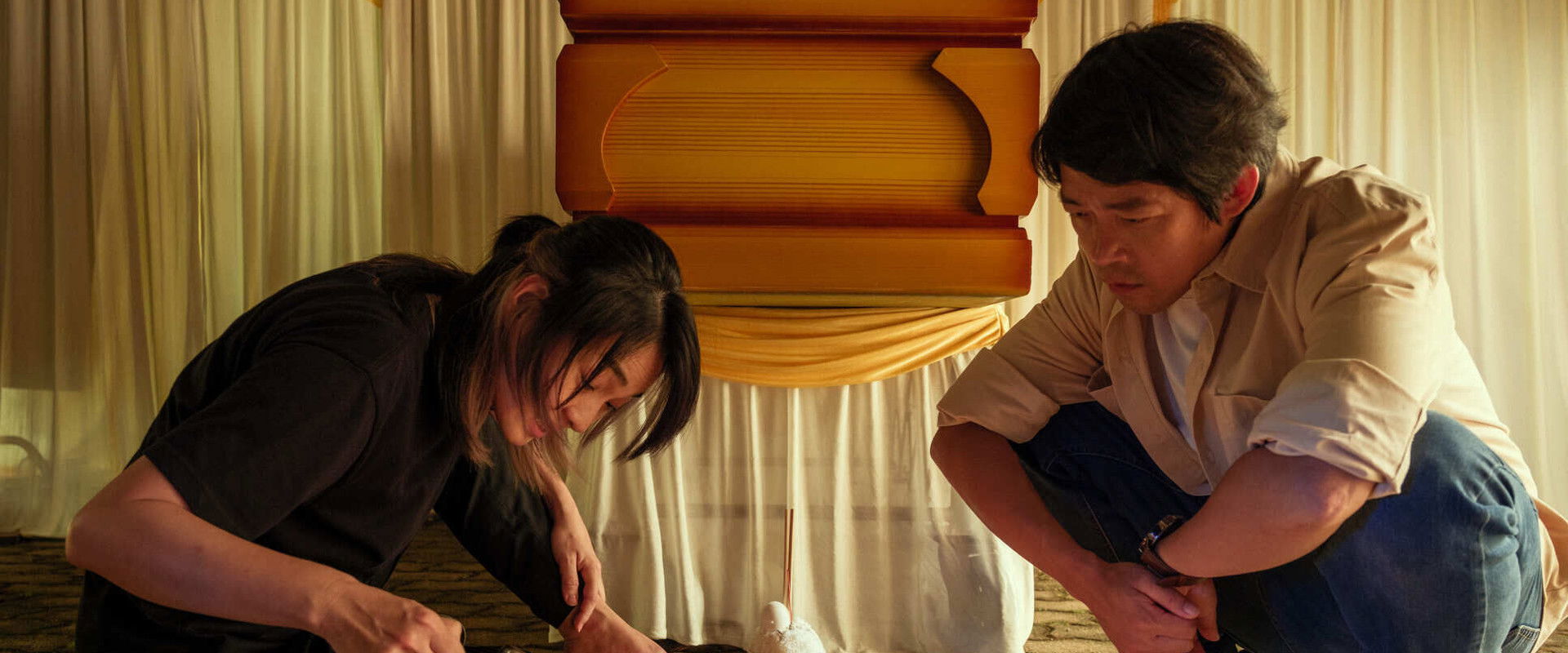 The Waves Will Carry Us's banner image