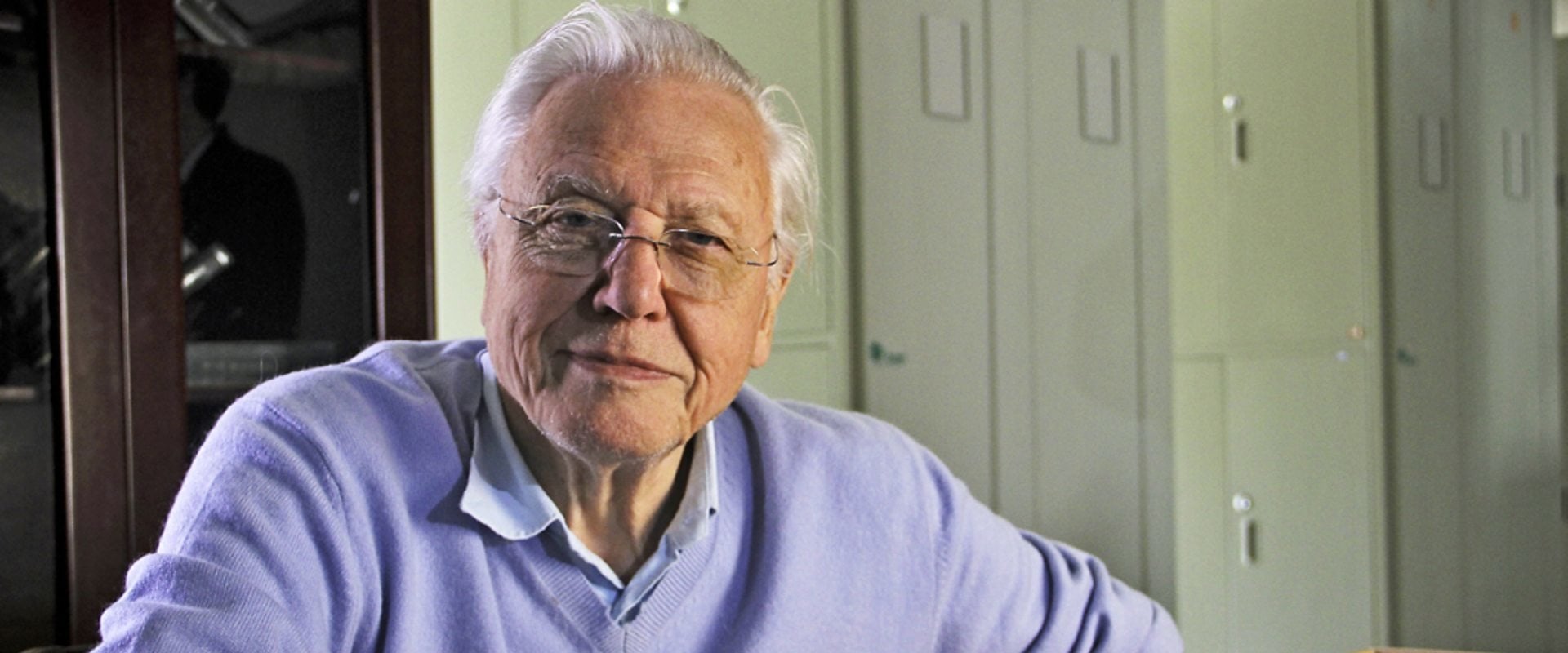 David Attenborough's Rise of Animals: Triumph of the Vertebrates