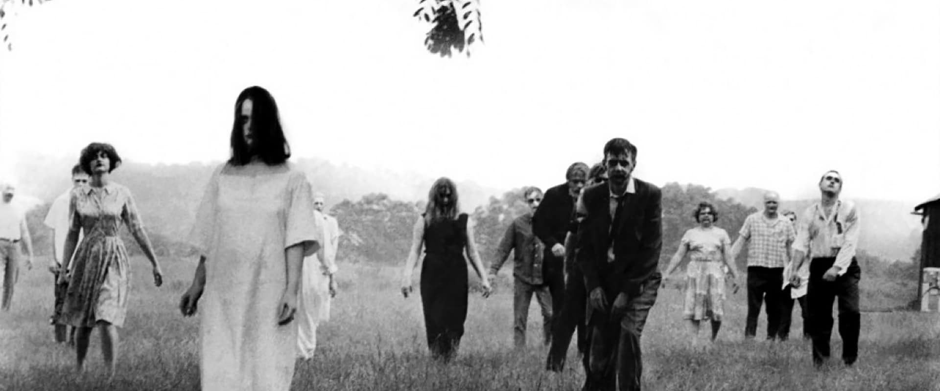 Elvira’s Movie Macabre: Night Of The Living Dead's banner image