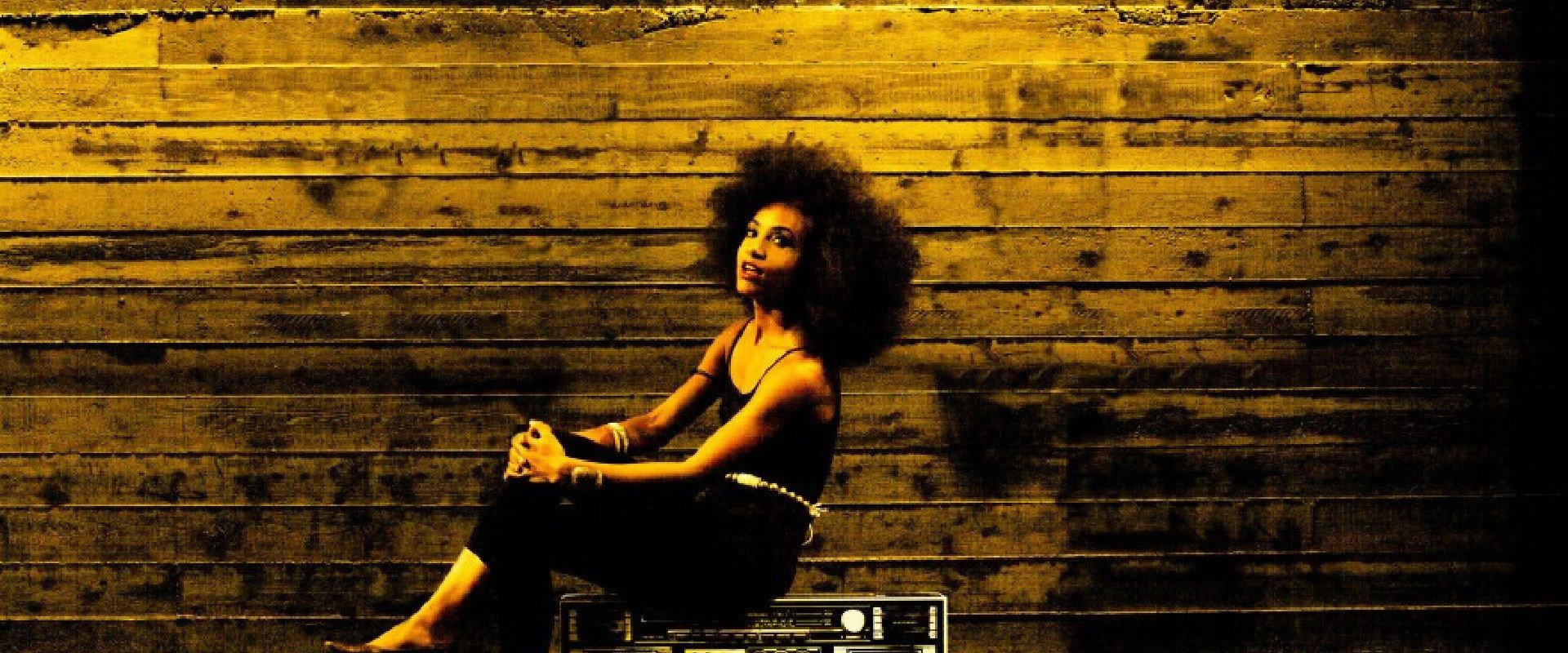 Esperanza Spalding: Radio Music Society's banner image