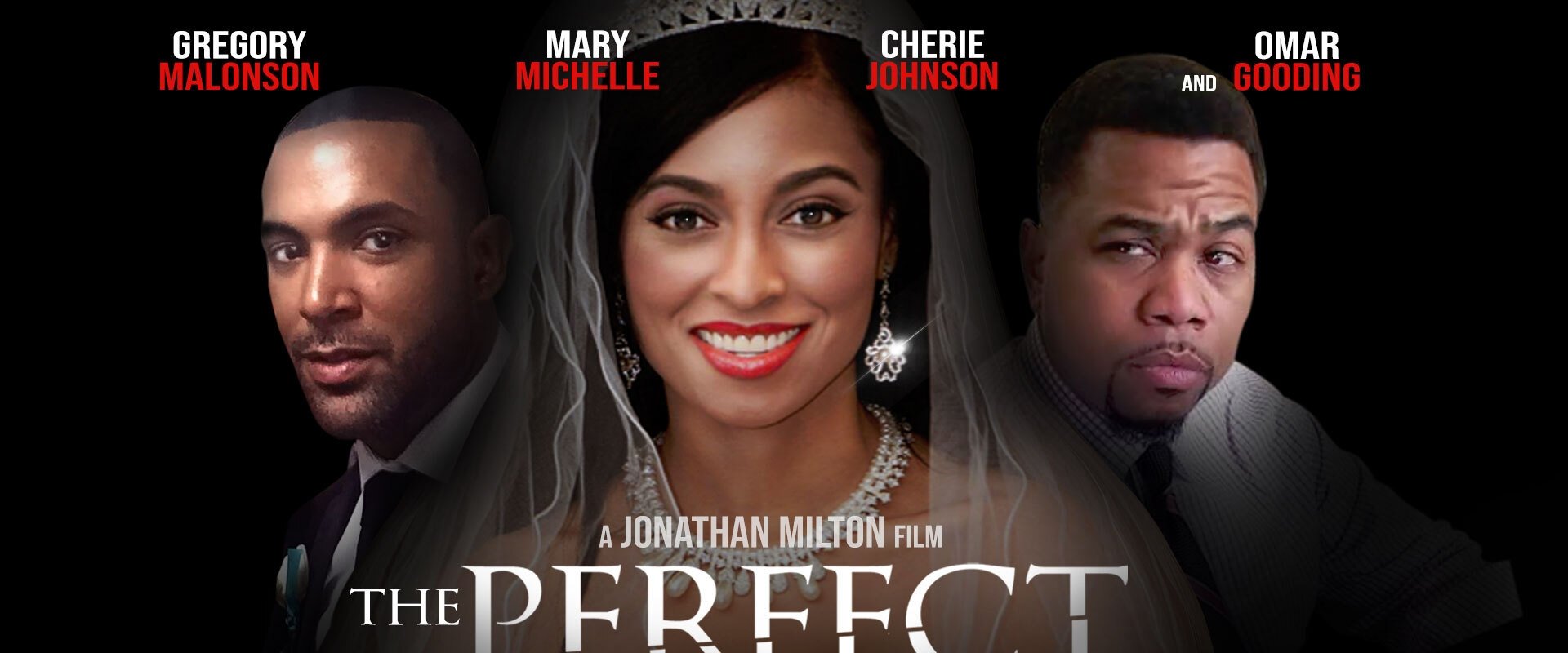 The Perfect Wife
