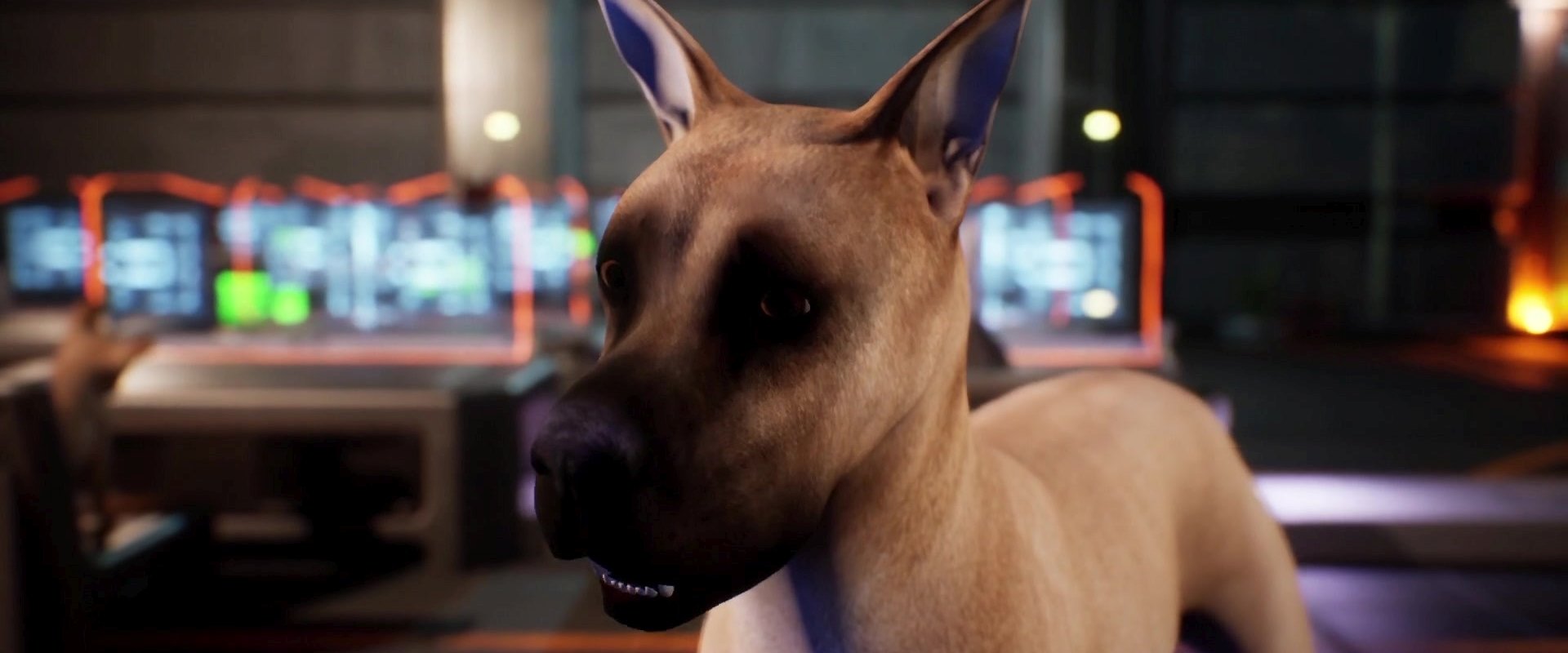 Avenger Dogs