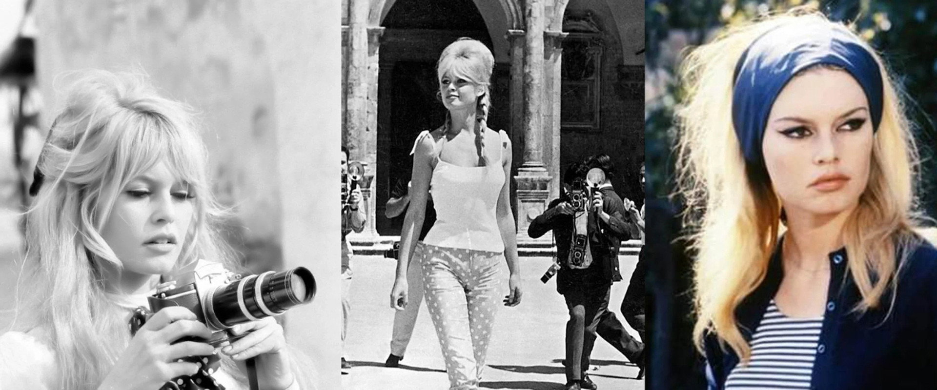 Brigitte Bardot: The Icon of France's banner image