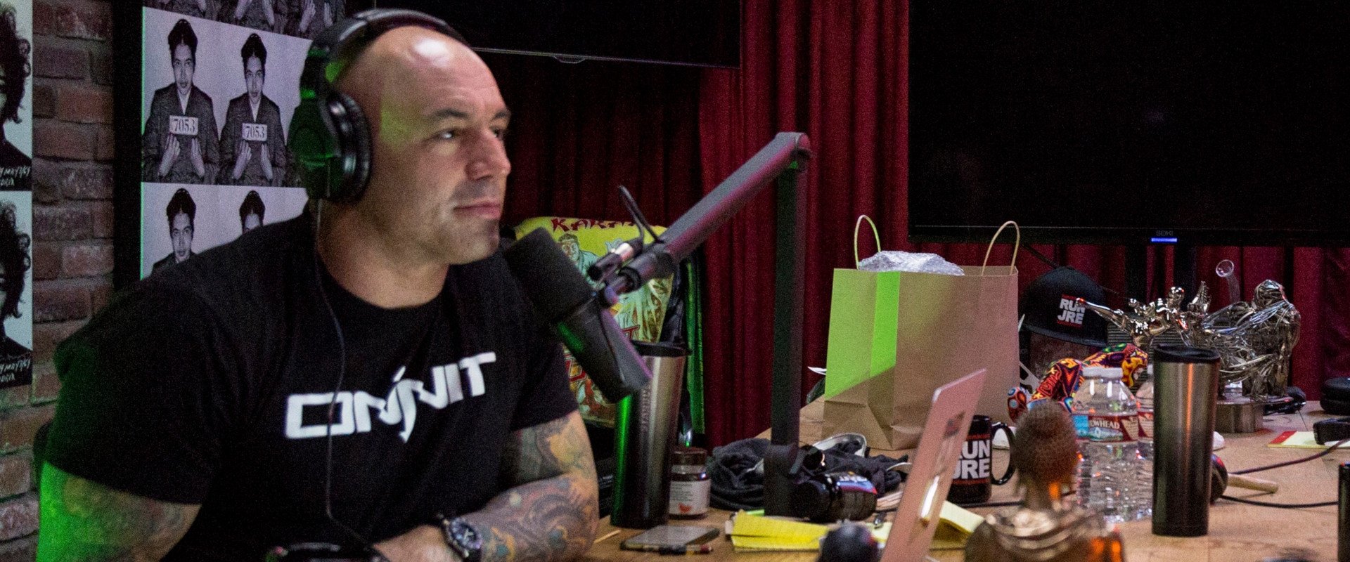 The Joe Rogan Experience