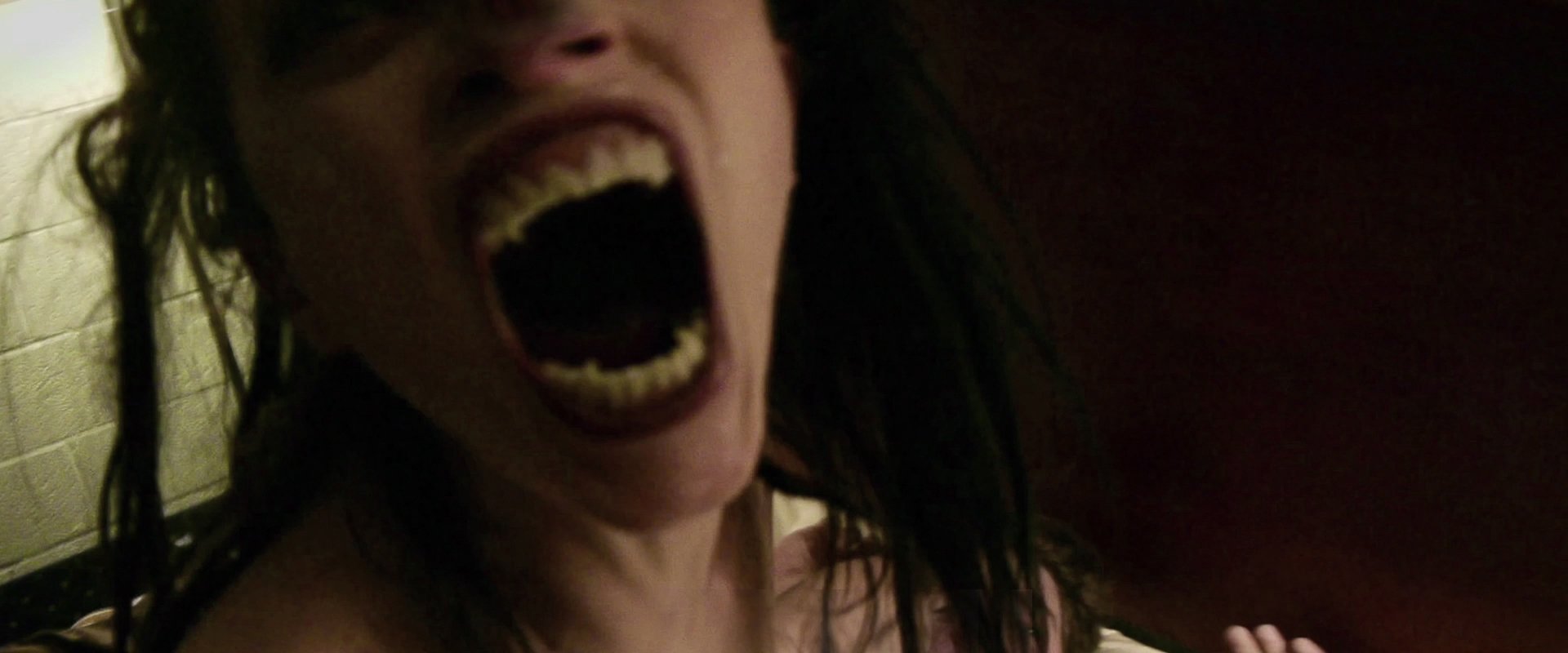 V/H/S