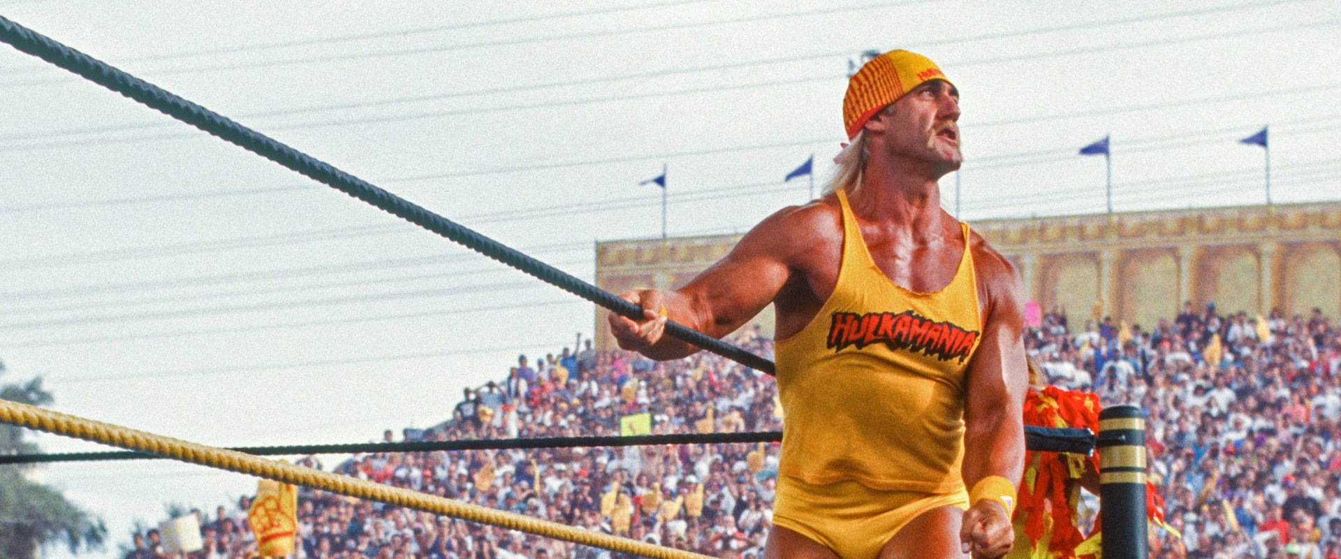 WrestleMania IX: Becoming a Spectacle's banner image