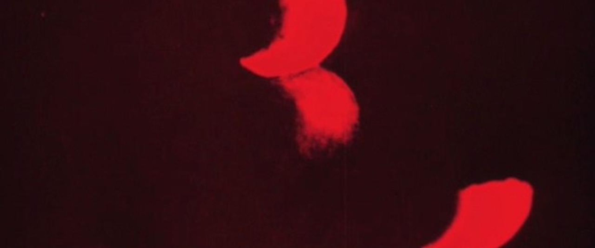 Lichtspiel: Opus I