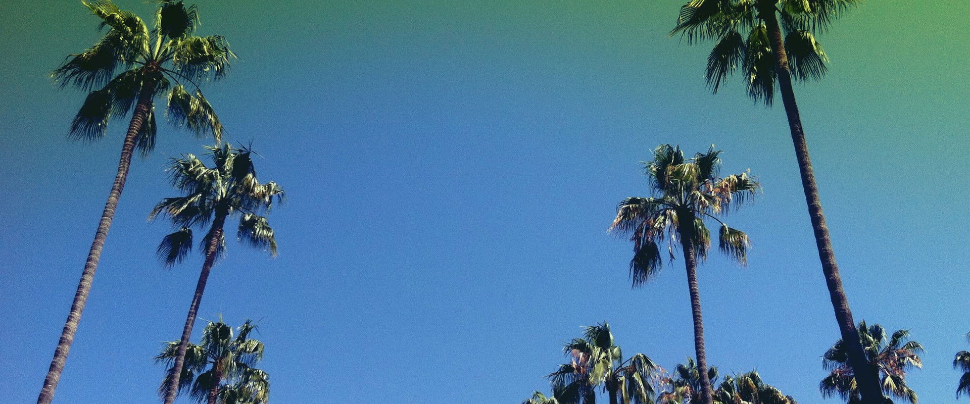 Lost in LA's banner image