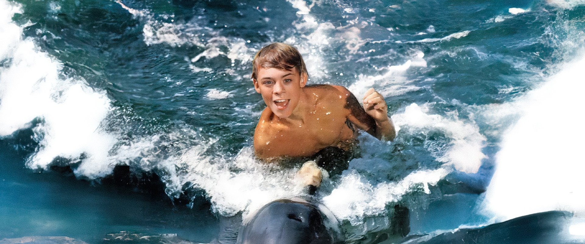 Flipper