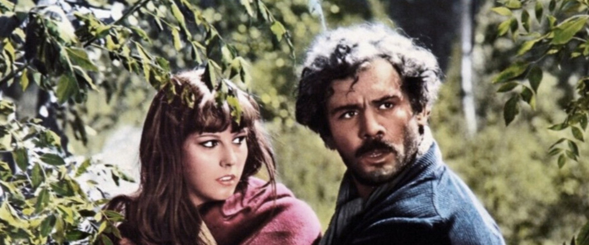 The Bandit's banner image