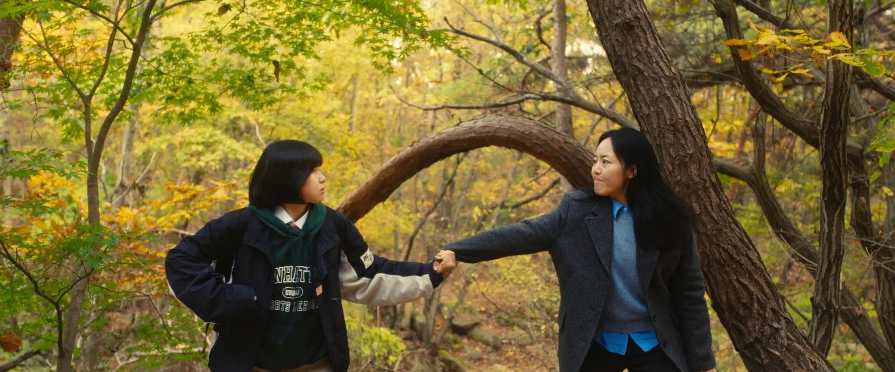 The Mountain Between Us's banner image