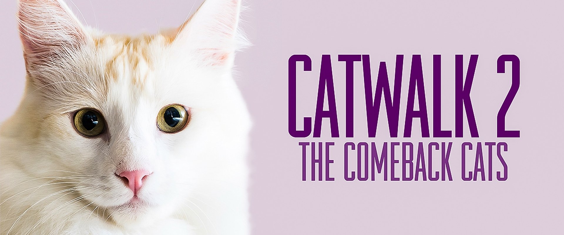 Catwalk 2: The Comeback Cats