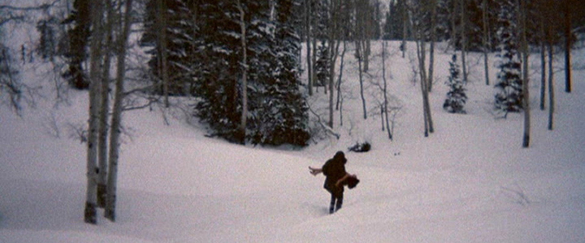 The Deliberate Stranger's banner image