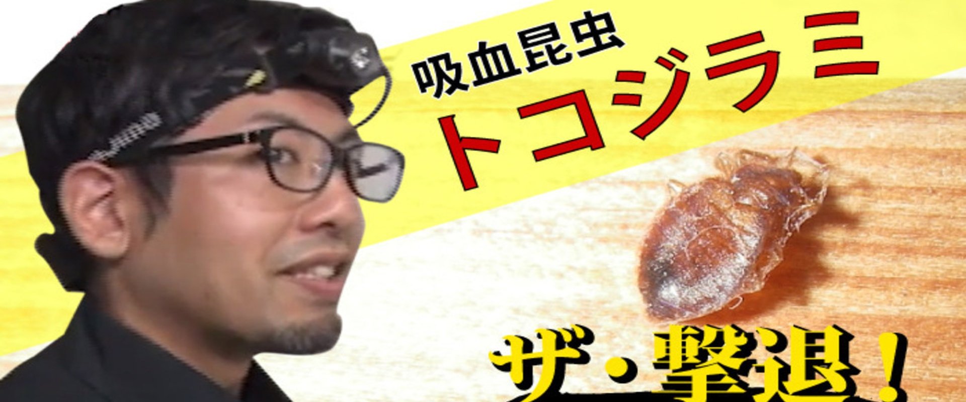 ザ・撃退!