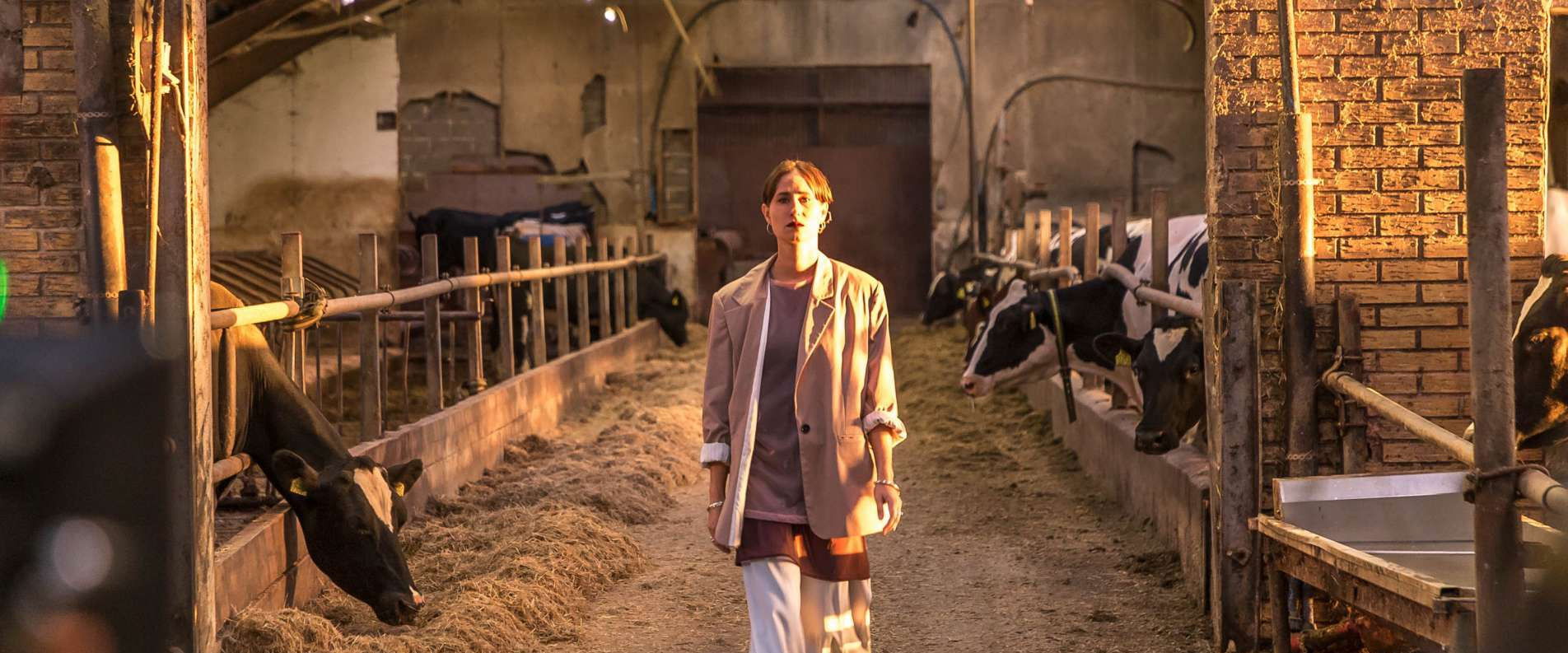 Hvor kragerne vender