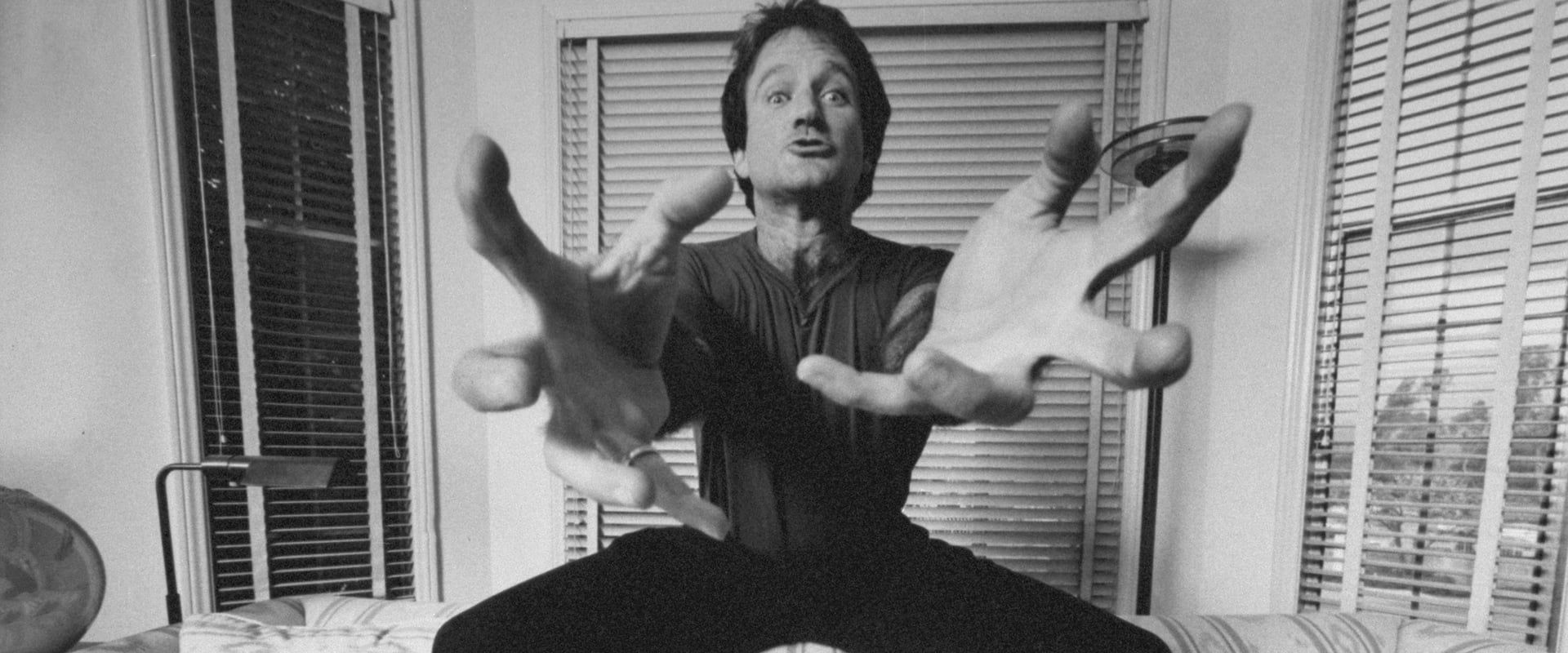 Robin Williams: Come Inside My Mind