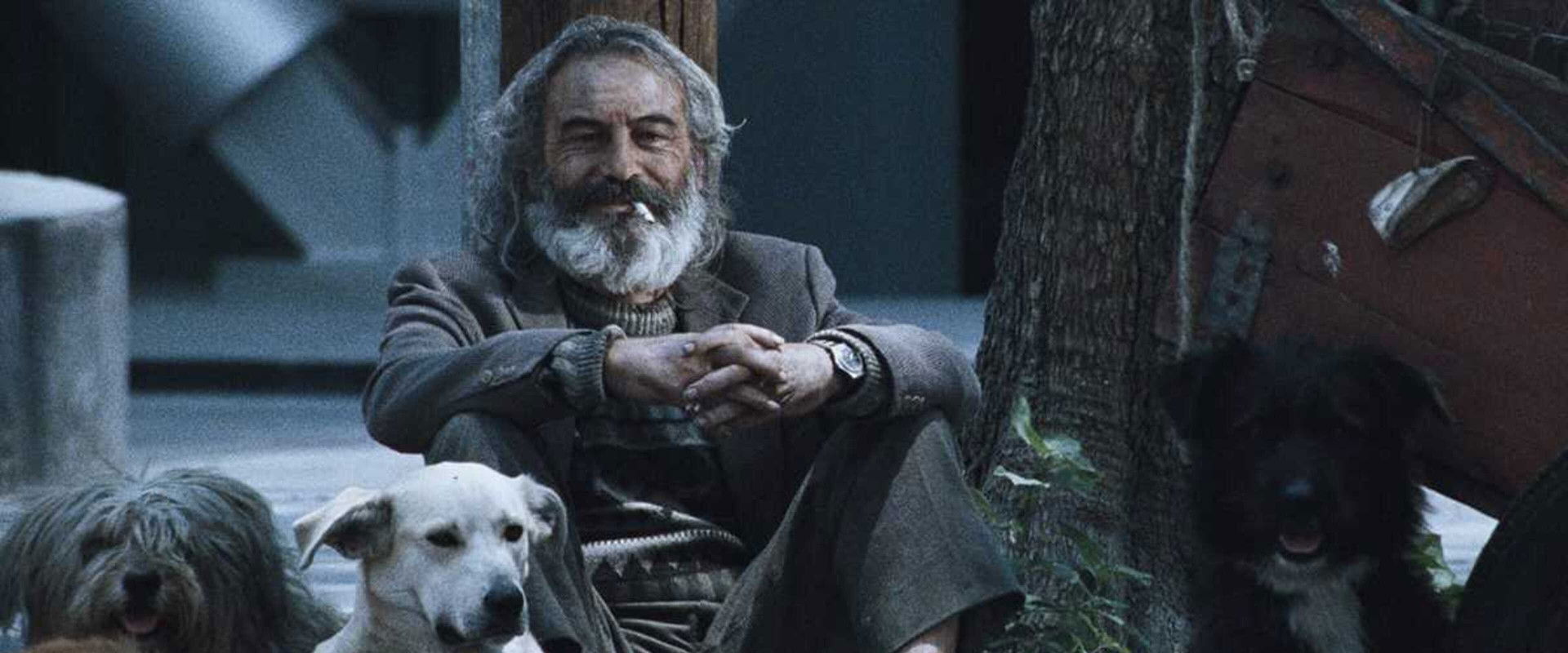 Amores Perros's banner image