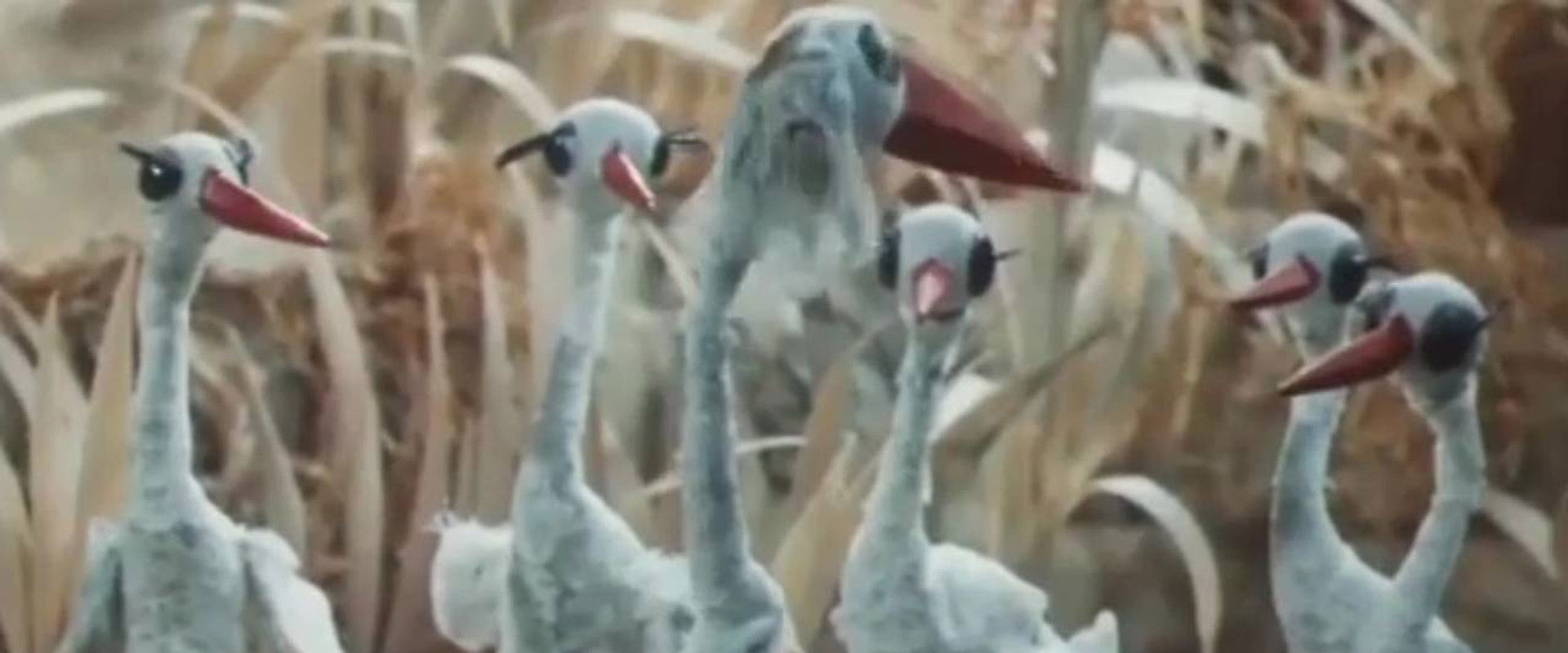 When Do the Storks Arrive's banner image