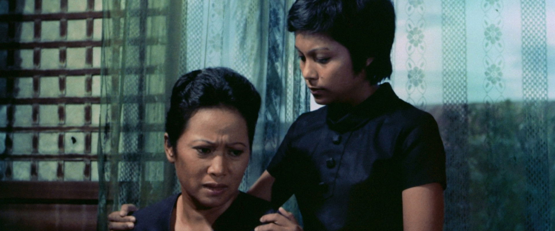 Once a Moth's banner image