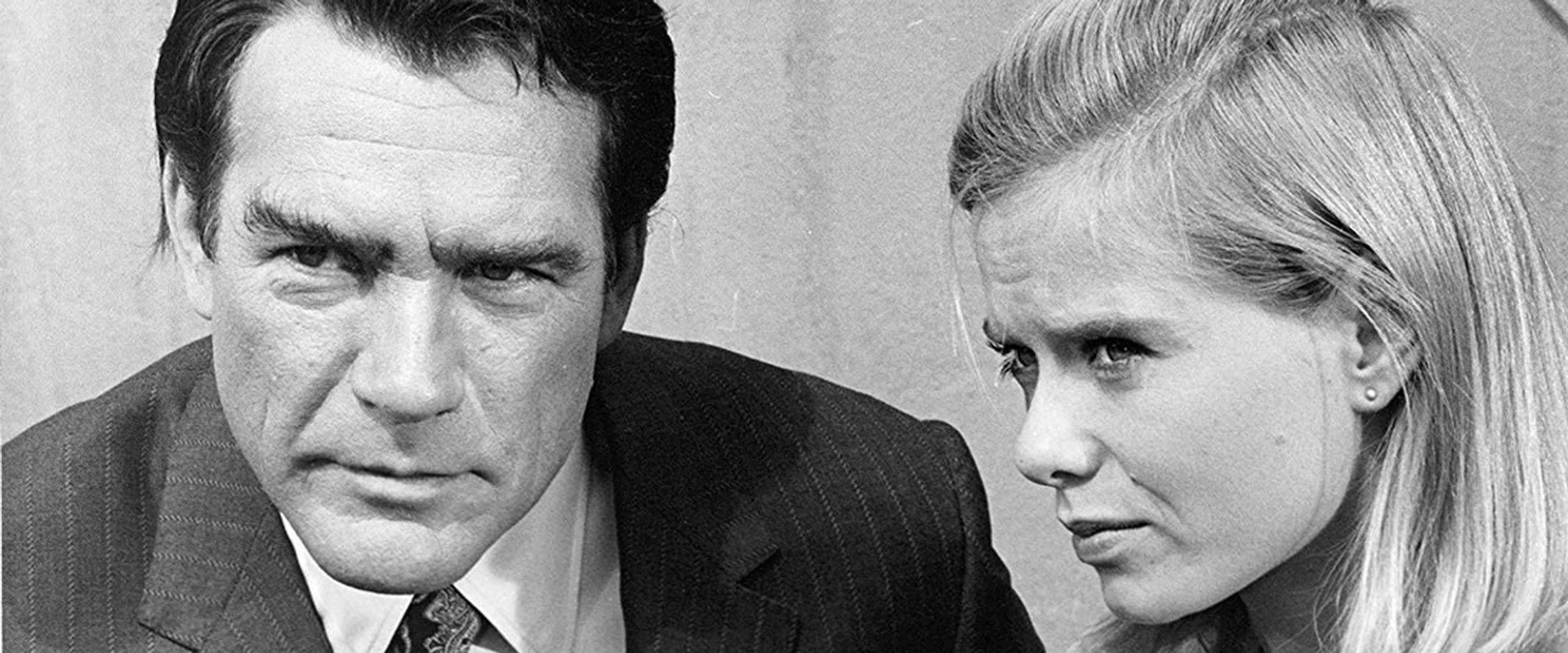 Judd for the Defense's banner image