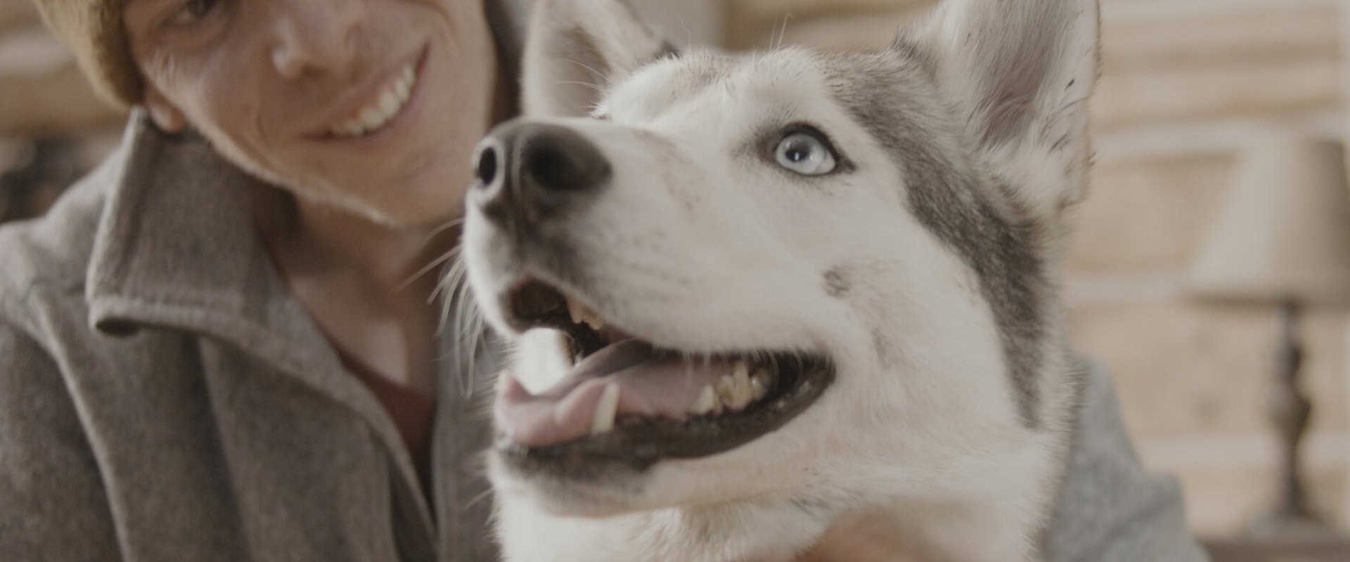 The Year of the Dog