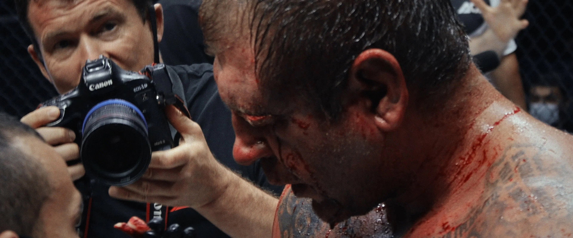 Emelianenko's banner image