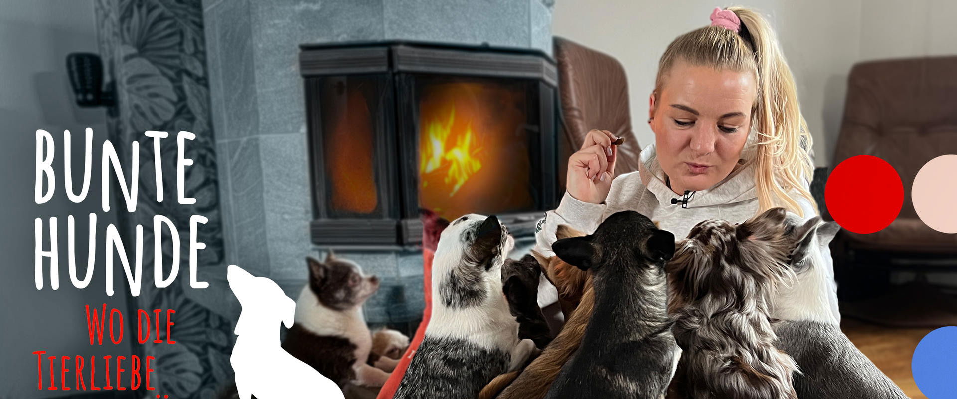 Bunte Hunde – Wo die Tierliebe hinfällt