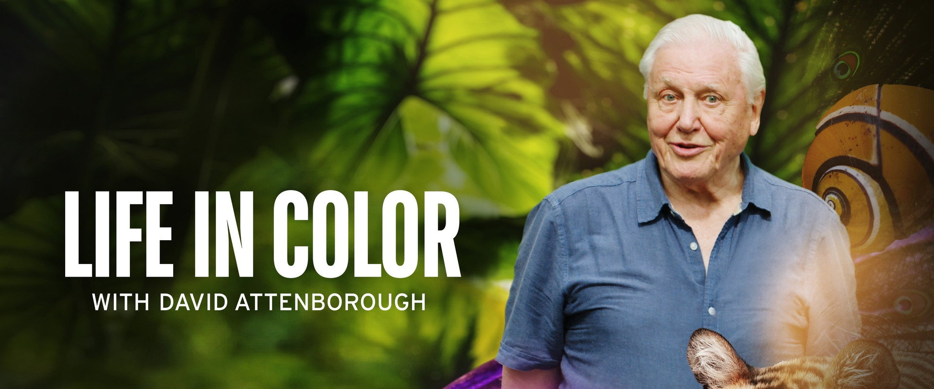 Attenborough's Life in Colour