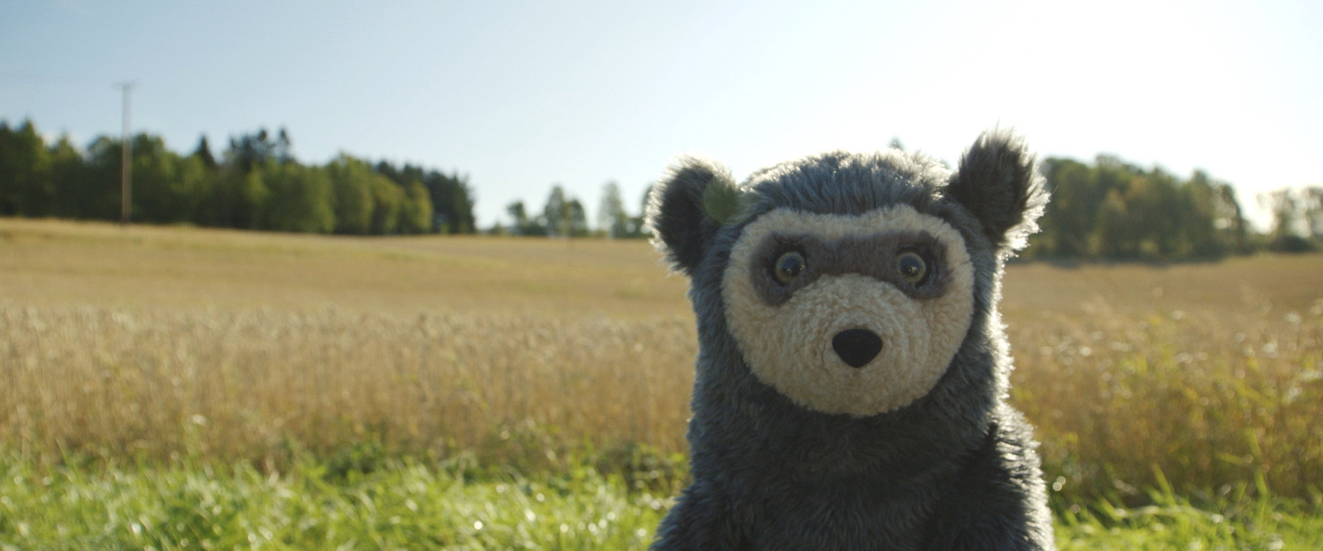Bo Bear