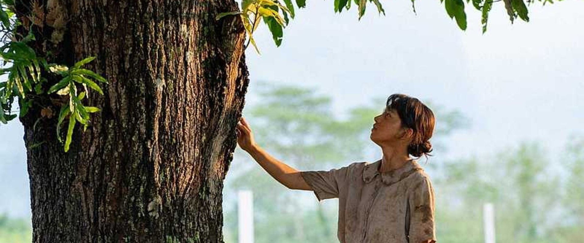 Mango no Ki no Shita de