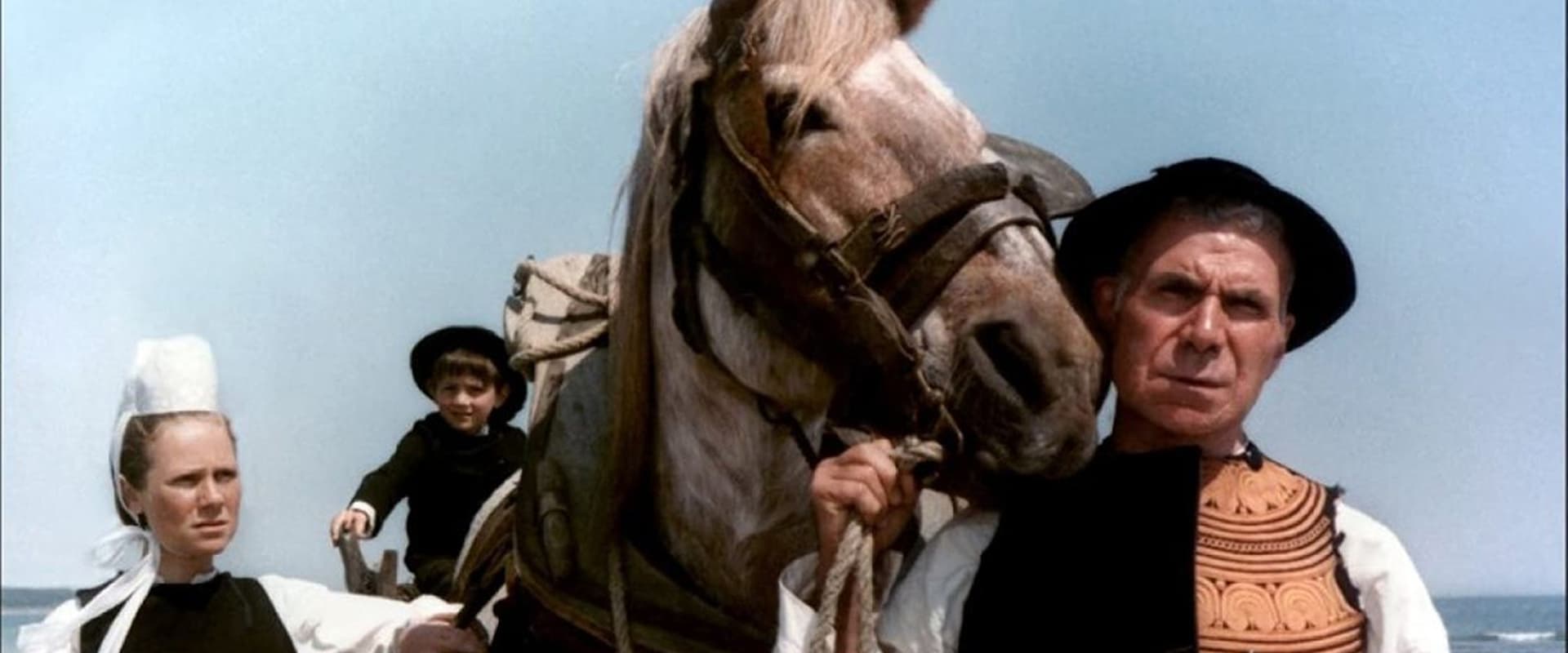 Le cheval d'orgueil