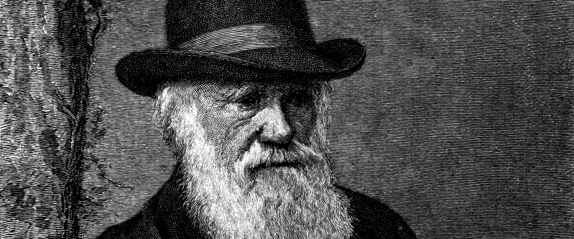 The Genius of Charles Darwin