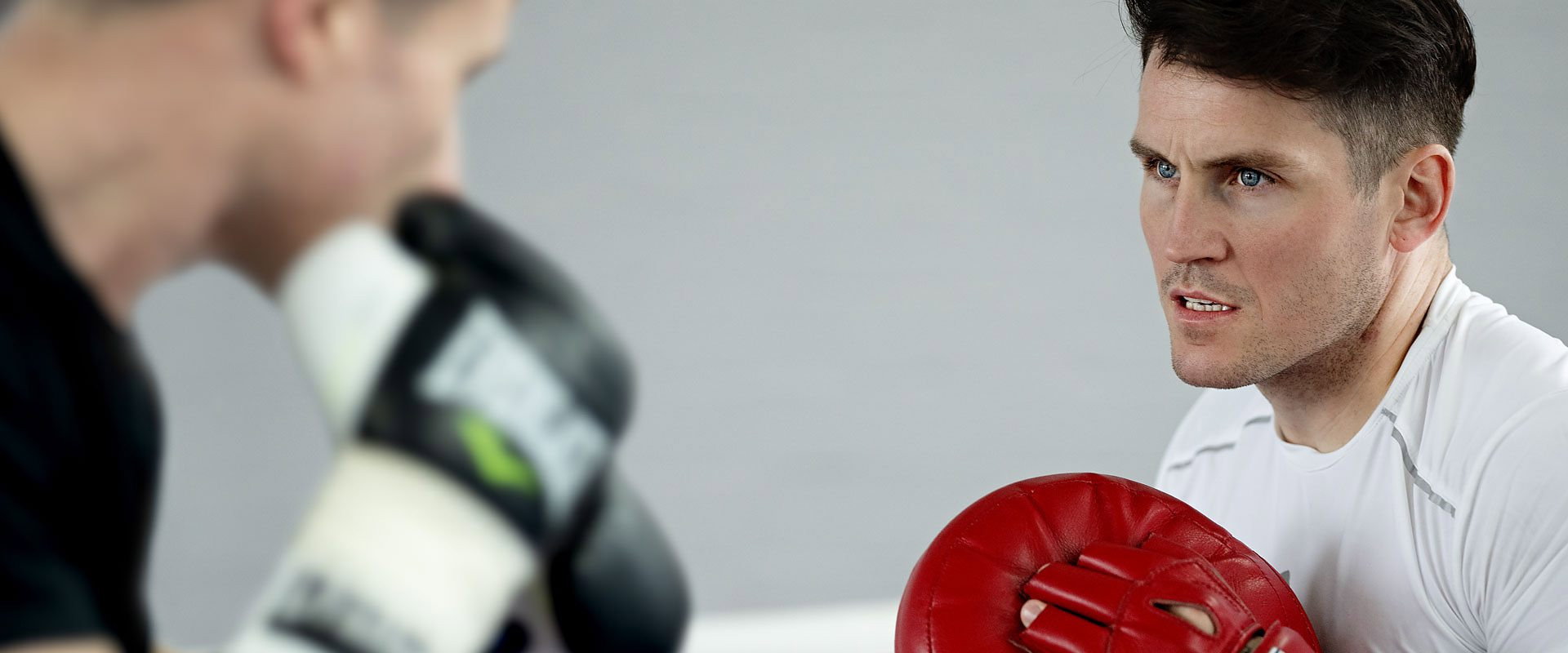 Stable: The Boxing Game's banner image