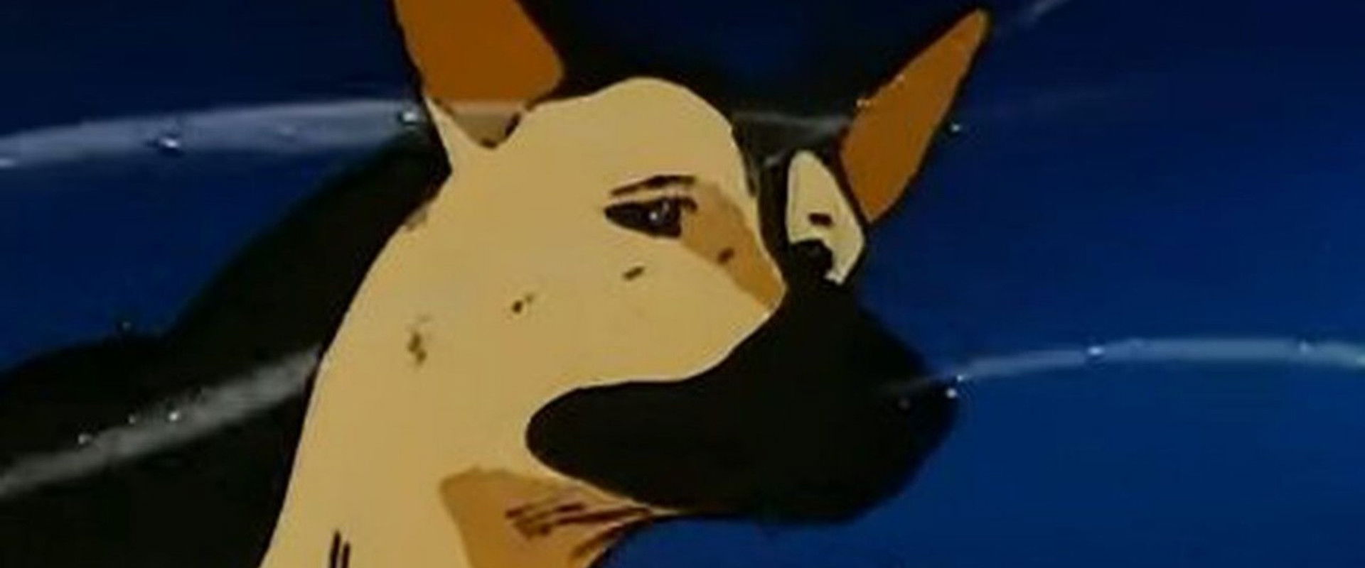 Call of the Wild: Howl, Buck's banner image