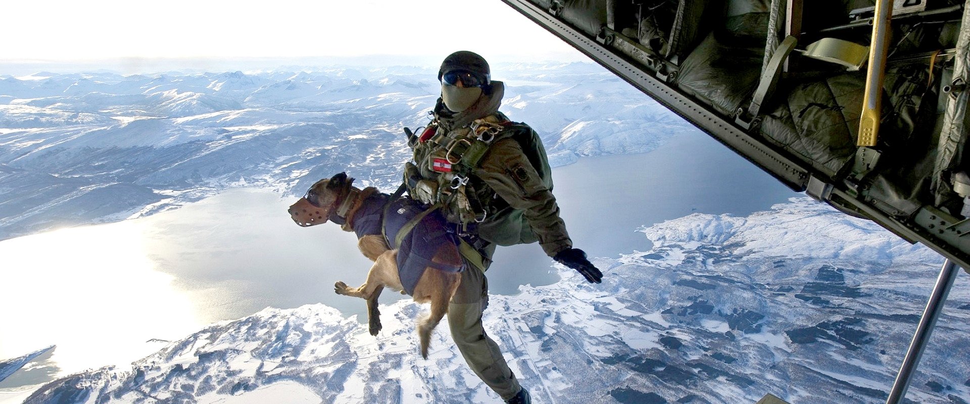 SEAL Dog