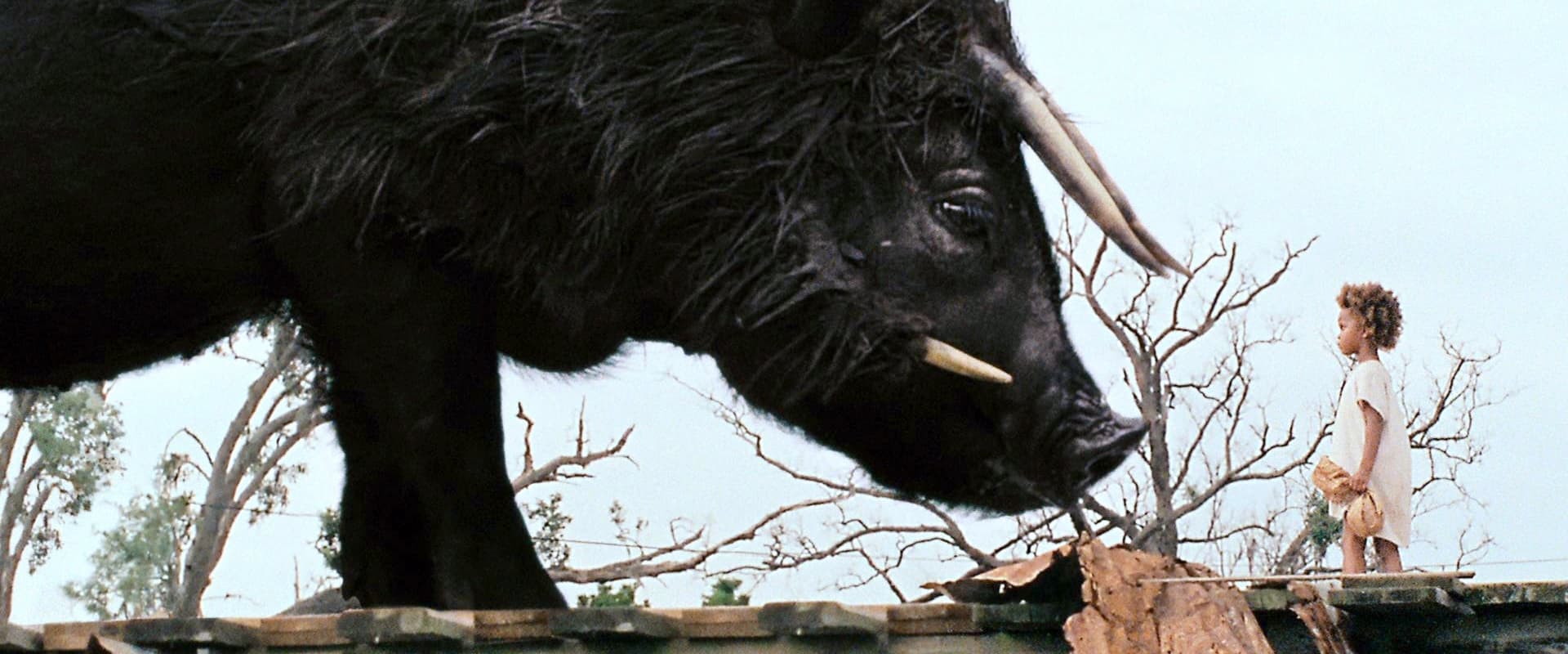 Beasts of the Southern Wild